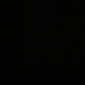 Meet your Posher, Jake